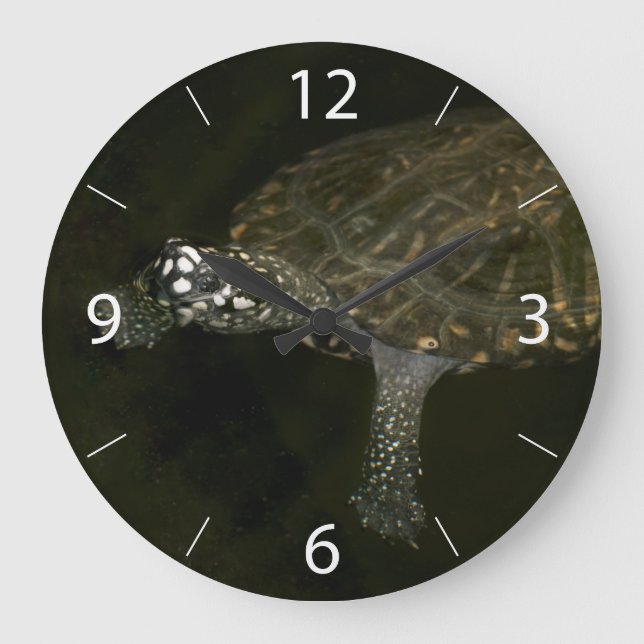Swimming Turtle Large Clock (Front)
