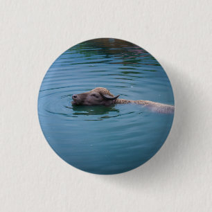 Swimming Water Buffalo 1 Inch Round Button