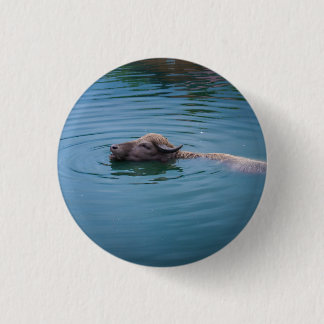 Swimming Water Buffalo 1 Inch Round Button