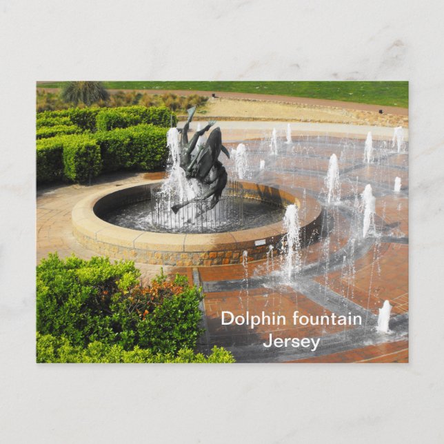 Swimming with dolphins fountain Jersey Postcard (Front)