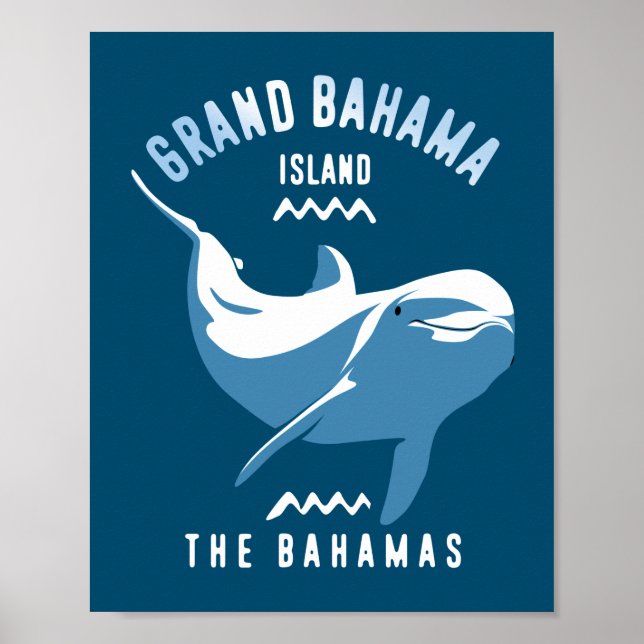 Swimming with Dolphins Grand Bahama Poster (Front)