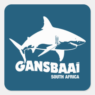 Swimming With Great White Sharks - Gansbaai Diving Square Sticker