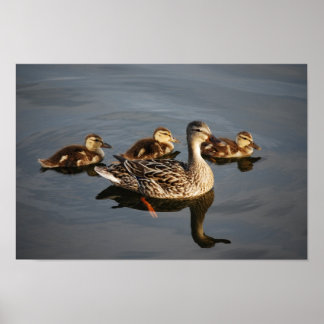Swimming with Mom Poster