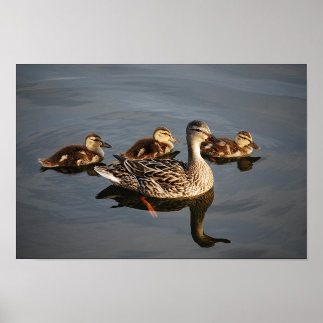 Swimming with Mom Poster (Front)