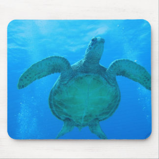 Swimming with Sea Turtles in Hawaii 1 Mouse Pad