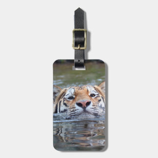 SwimmingTiger20150901 Luggage Tag