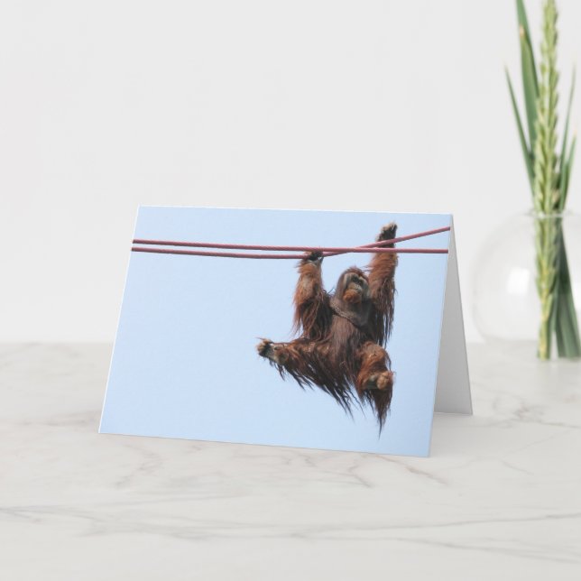 Swing In The New Year Holiday Card (Front)