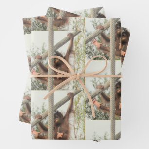 Swinging Baby Orangutan All Occasion Wrapping Paper Sheet