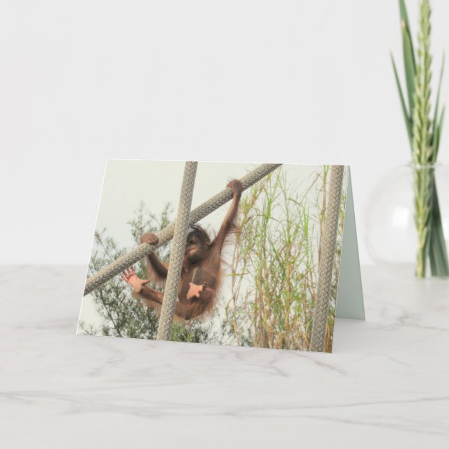 Swinging Baby Orangutan Birthday Card (Front)
