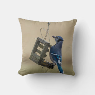 Swinging Blue Jay Throw Pillow