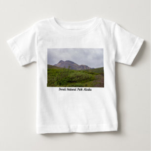 Swirled Beauty In Denali Baby T-Shirt