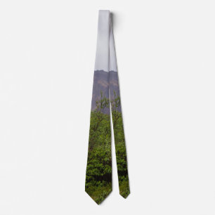 Swirled Beauty In Denali Neck Tie