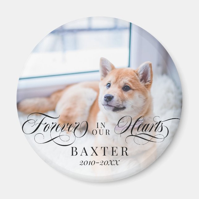 Swirly Forever In Our Hearts Pet Photo Magnet (Front)