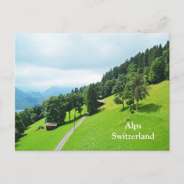 Swiss alps in summer postcard (Front)