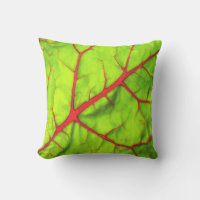 Swiss Chard Leaf