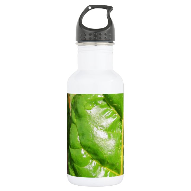Swiss Chards 532 Ml Water Bottle (Front)