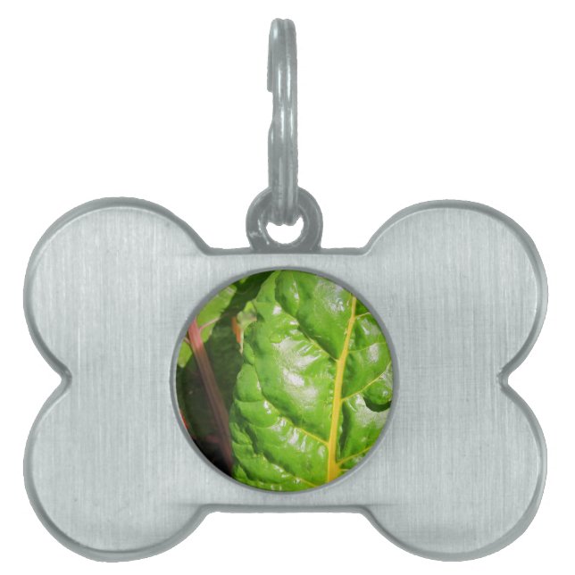 Swiss Chards Pet Tag (Front)