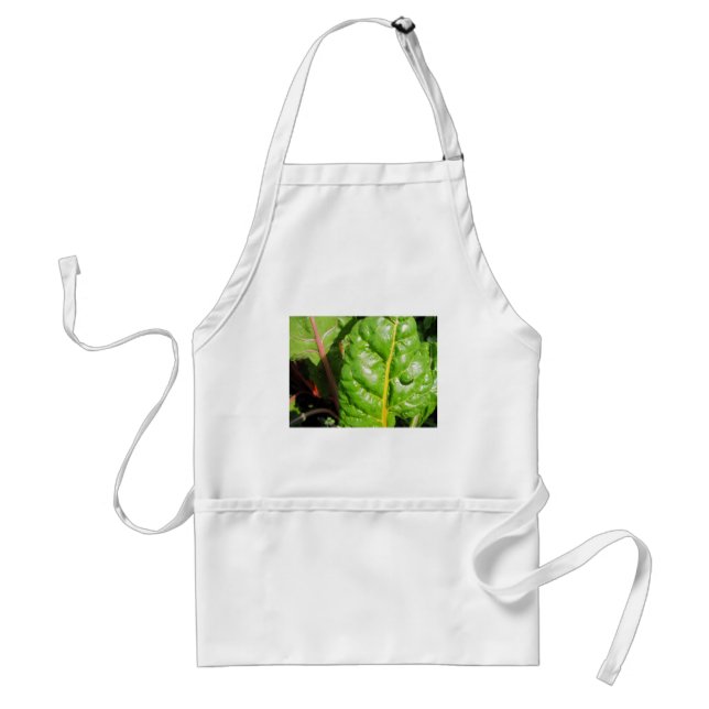 Swiss Chards Standard Apron (Front)