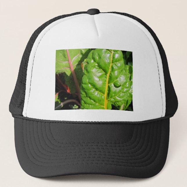 Swiss Chards Trucker Hat (Front)
