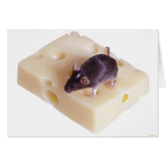 Swiss Cheese Mouse Card