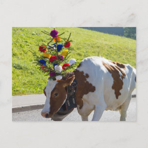 Swiss Cow Postcard