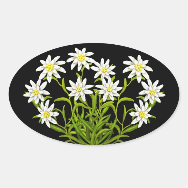 Swiss Edelweiss Flowers Bouquet Sticker (Front)
