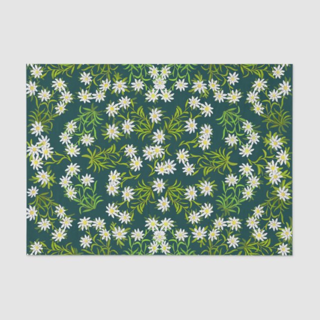 Swiss Edelweiss Mountain Flowers Tissue Paper (Front)