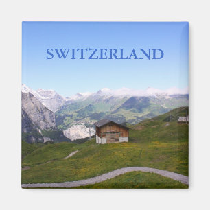 Swiss house and alps magnet