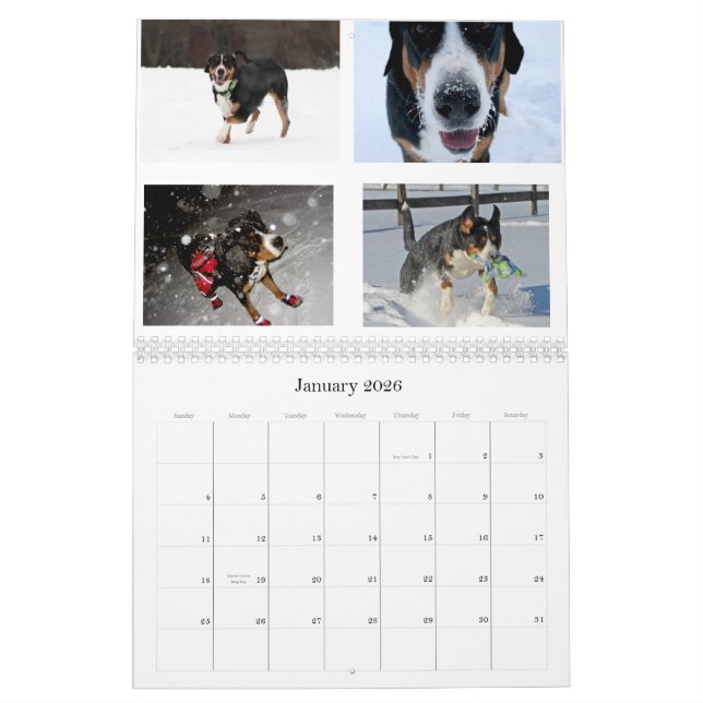 Swiss Lick Swissies (and friends) 2011 Calendar (Jan 2026)