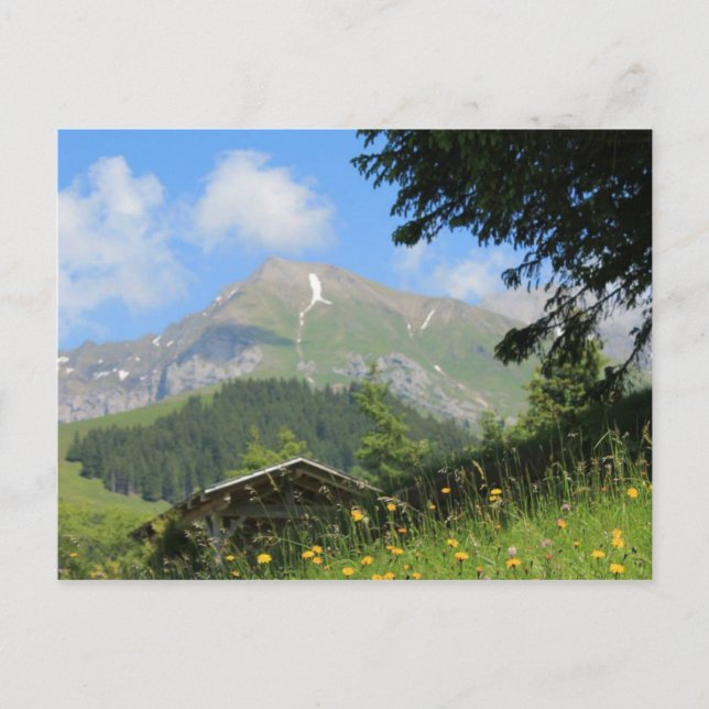 Swiss Mountains Postcard (Front)