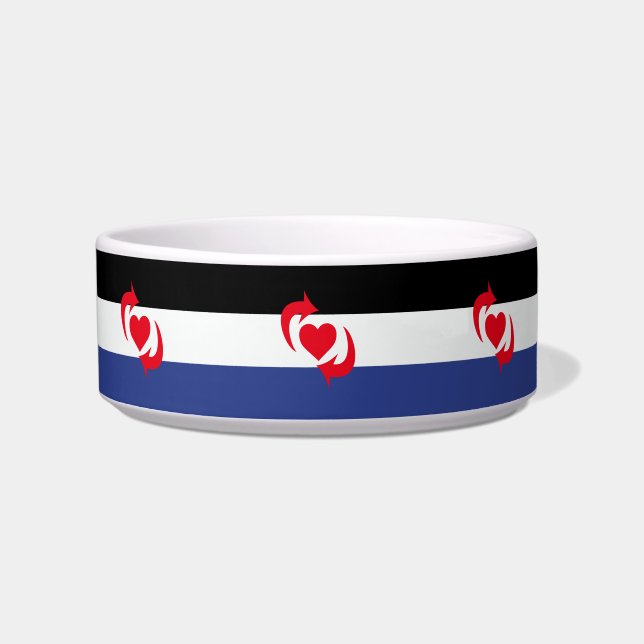 Switch Pride Flag Bowl (Front)