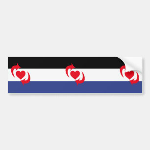 Switch Pride Flag Bumper Sticker
