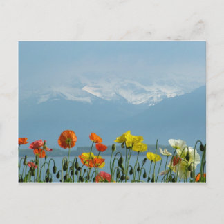 switzerland-16800 postcard