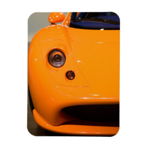 SWITZERLAND, GENEVA: 75th Annual Geneva Auto 6 Magnet