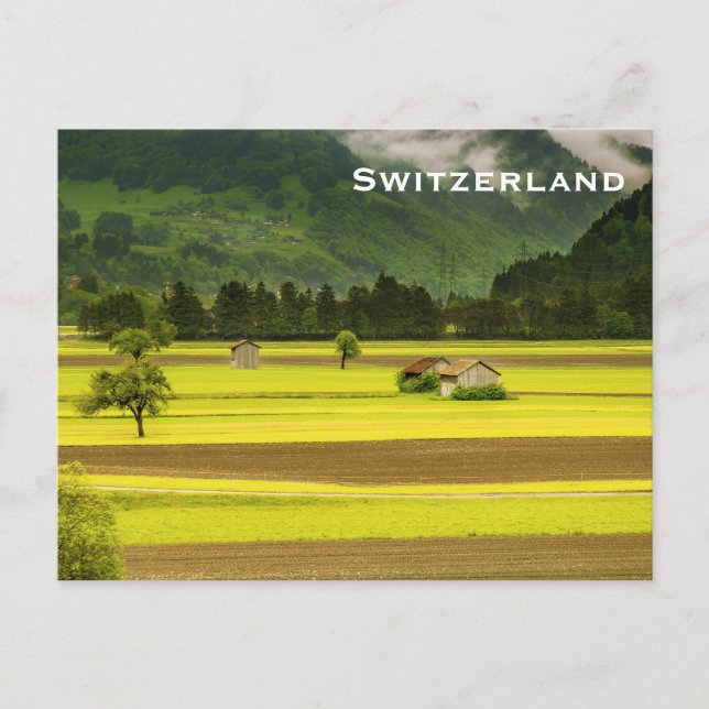 Switzerland Vintage Travel Tourism Add Postcard (Front)