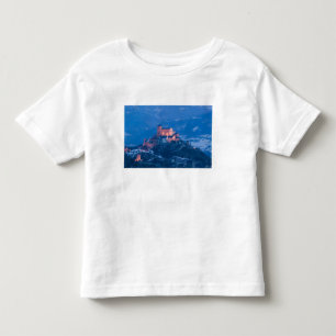 SWITZERLAND, Wallis/Valais, SION: Basilique de Toddler T-shirt
