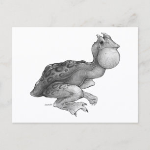 Swog - Carte postale