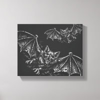 Swooping Bat - by BurnsInHell