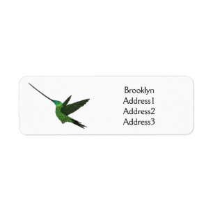 Sword-billed hummingbird cartoon illustration