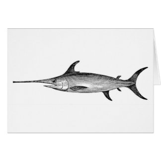 Swordfish card, scientific illustration
