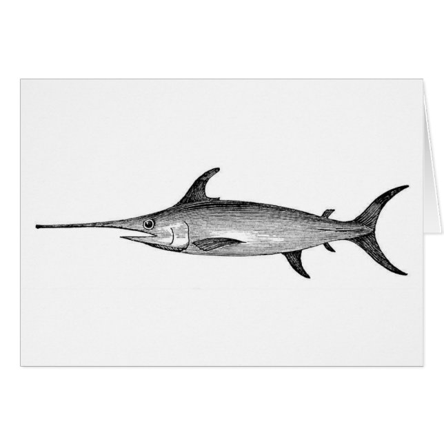 Swordfish card, scientific illustration (Front Horizontal)
