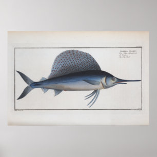 Swordfish Drawing Retro Vintage Poster