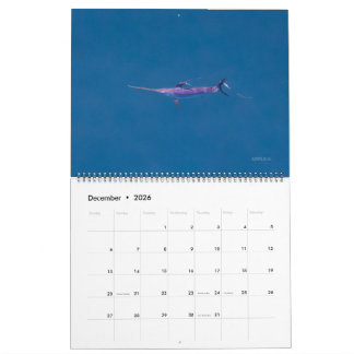 Swordfish Only Calendar 2026