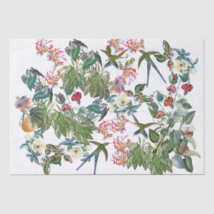 Swordtail Hummingbird Birds Flowers Tissue Paper