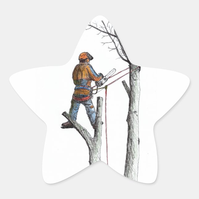 Sycamore and 020t star sticker (Front)