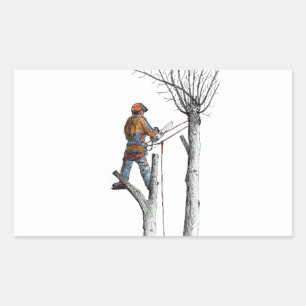 Sycamore and 020t sticker