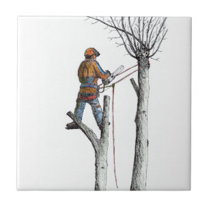 Sycamore and 020t tile