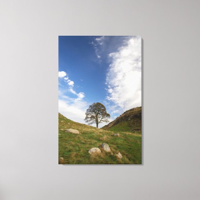 Sycamore Gap Stretched Canvas Print (Front)