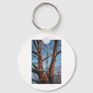Sycamore Sunrise Keychain