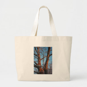 Sycamore Sunrise Large Tote Bag